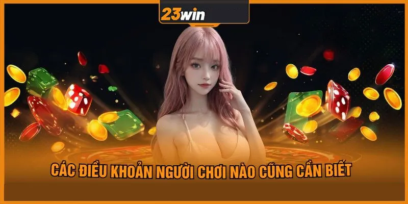 hoi-vien-can-phai-nam-bat-ky-dieu-khoan-dieu-kien-23win