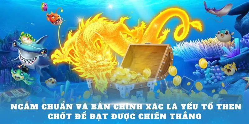 ngam-chuan-va-ban-chinh-xac-la-yeu-to-then-chot-de-dat-duoc-chien-thang